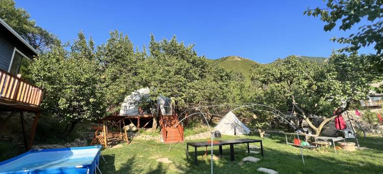 杏花坡度假民宿图片