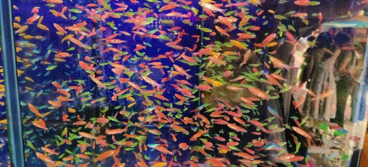 昆明浮生青年旅舍(昆明火车站店)图片