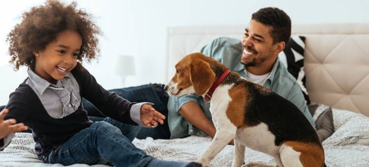 馨乐庭特洛卡德罗巴黎酒店(Citadines Trocadéro Paris)图片