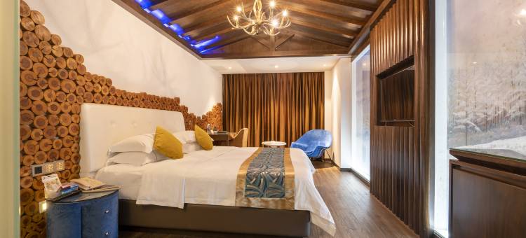 丽都大酒店(邵东高铁站店)图片