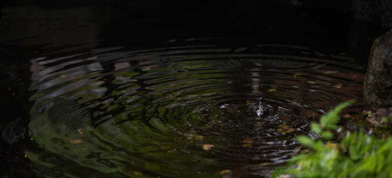 坂圣日光旅馆(Sakahijiri Nikko)图片