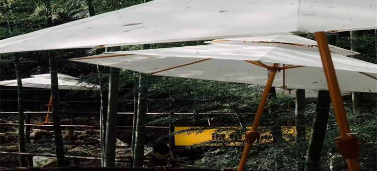 轩屹·山野·亲子观影轻智能度假美宿(云上草原熊猫探险乐园店)图片