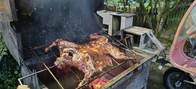 深圳大鹏新区青朴栖民宿图片