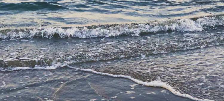 雷穆斯酒店(东兴高铁站二桥口岸店)图片