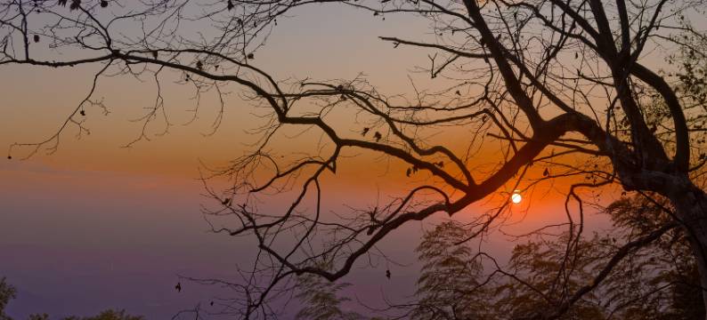 莫干山二月三十名墅图片