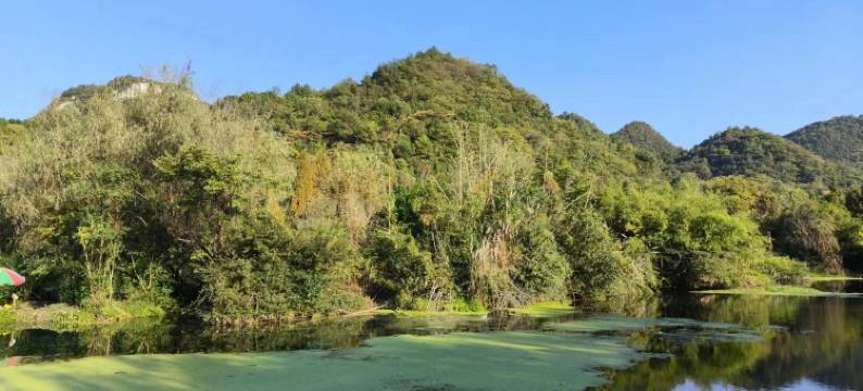 贵阳城南花锦酒店图片