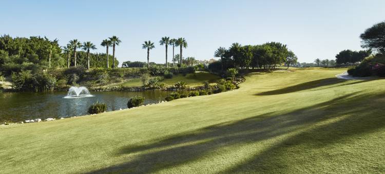 开罗 JW万豪酒店(JW Marriott Hotel Cairo)图片