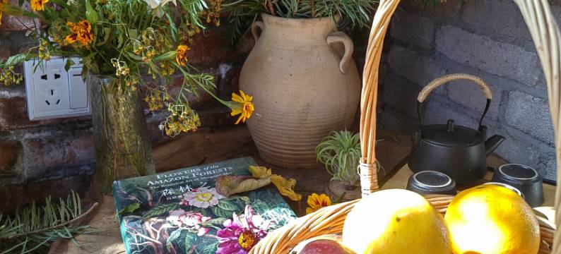 香格里拉哈巴云端客栈图片