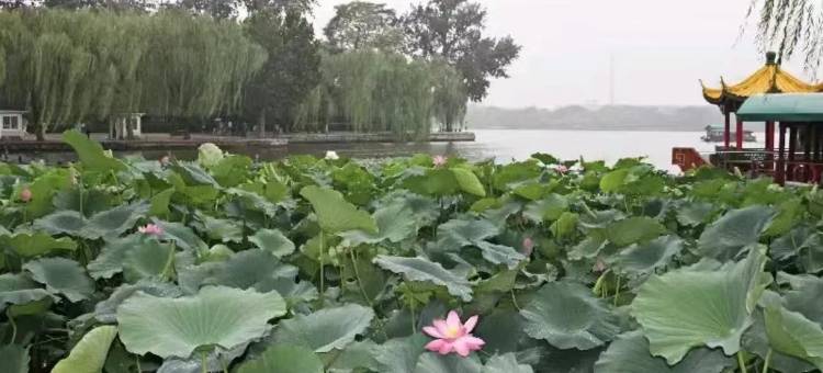 锦江之星酒店(济南黄台环球家居博览中心大明湖站店)图片