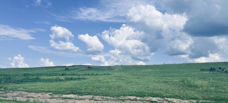 额尔古纳室韦临江蒙兀往事驿站图片