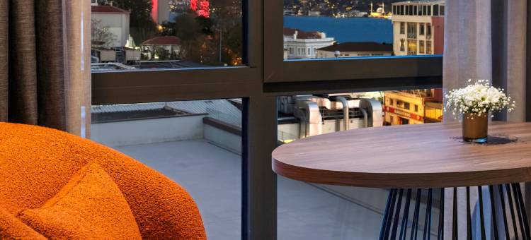 皇冠假日伊斯坦布尔奥塔科伊博斯普鲁斯(Crowne Plaza Istanbul - Ortakoy Bosphorus)图片