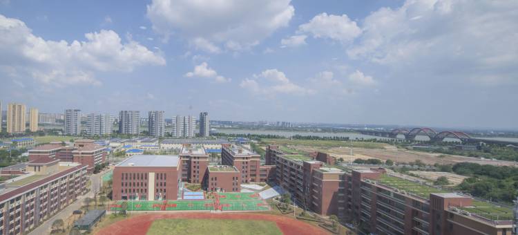 枫宿民宿(长沙洋湖湿地地铁站店)图片