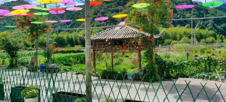 杭州富阳望山听水民宿(壶源溪漂流店)图片