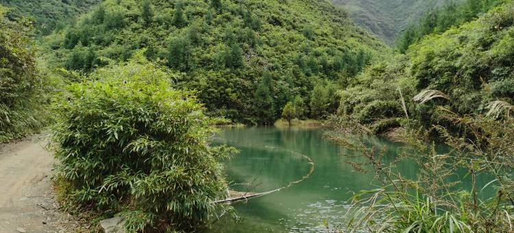 南川区龙岩城下民宿图片
