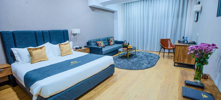 Krokus美华酒店(Krokus Plaza Hotel)图片