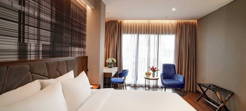 日河豪华酒店(NHAT HA LAVISH HOTEL)图片