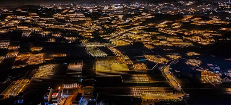 大叻安特奥斯酒店公寓(Anteaus Hotel & Apartment Da Lat)图片