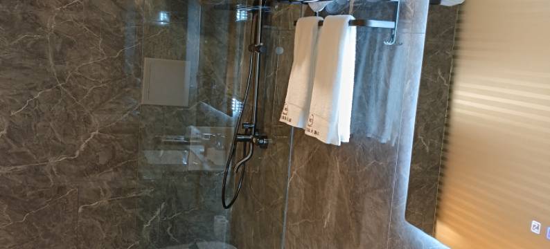 维西德鲁克国际大酒店图片