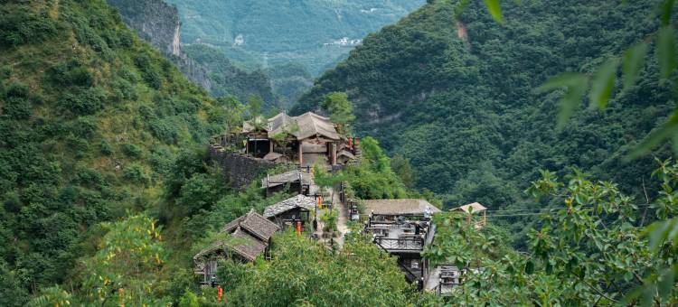 山阳天蓬山寨森林康养基地图片