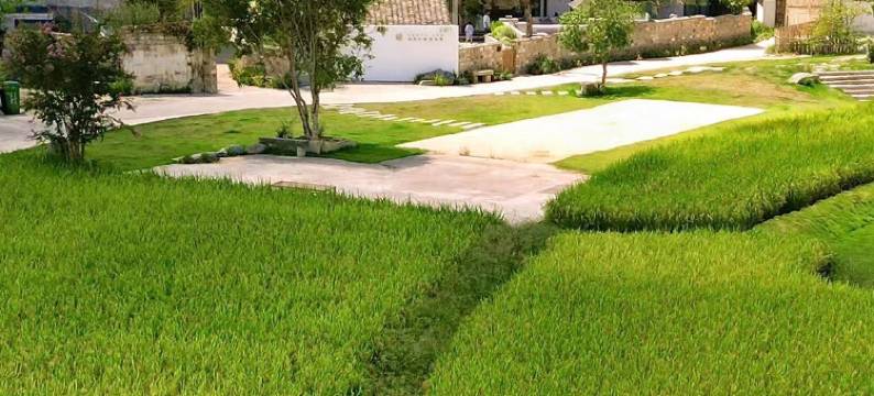 黄山澍德堂•黟县交叉小径的花园图片