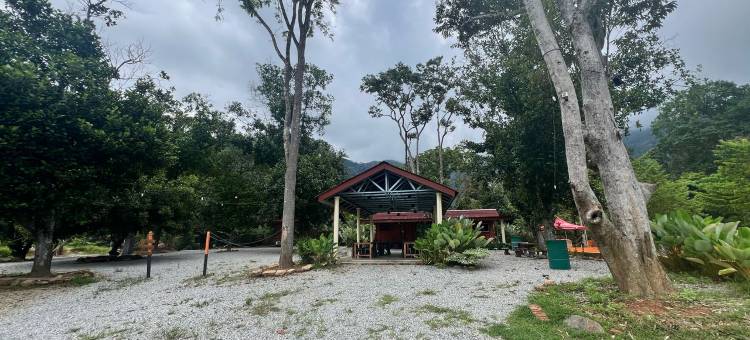 Capital O 91152 Jerot Dusun Campsite图片