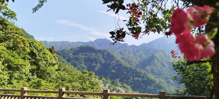 青城泰安雅居民宿(青城后山店)图片