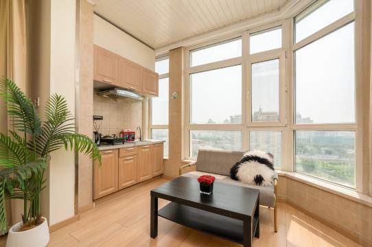 哈尔滨•雪花｜SnowFlakeProjection设计寓(中央大街索菲亚教堂店)图片