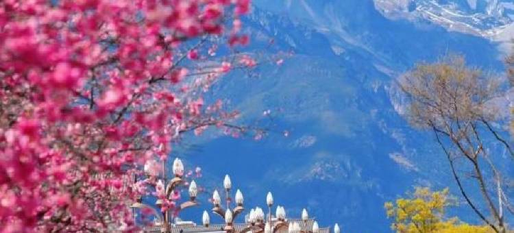 丽江石琉赏客栈(丽江古城四方街店)图片