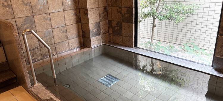 露樱酒店涩川店(Hotel Route-Inn Shibukawa)图片