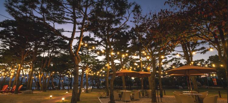 雪岳海滩肯辛顿度假村(Kensington Resort Seorak Beach)图片