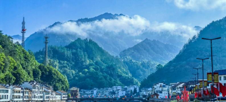 遂昌雷迪森怿曼酒店图片