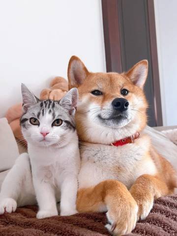 方知·花园酒店(水清沟地铁站店)图片