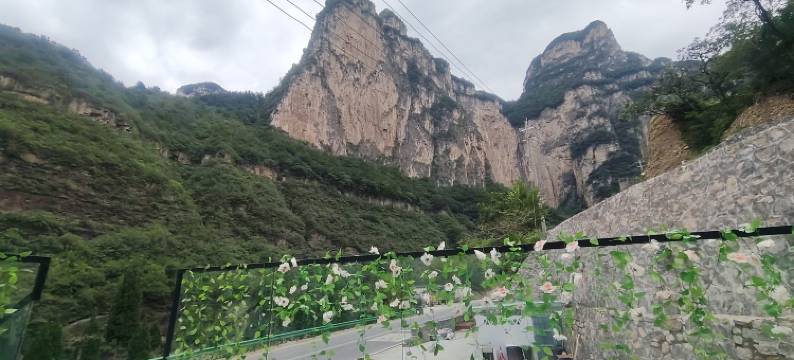 归园田居民宿图片