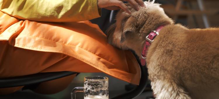 安吉NOXbase酒店图片