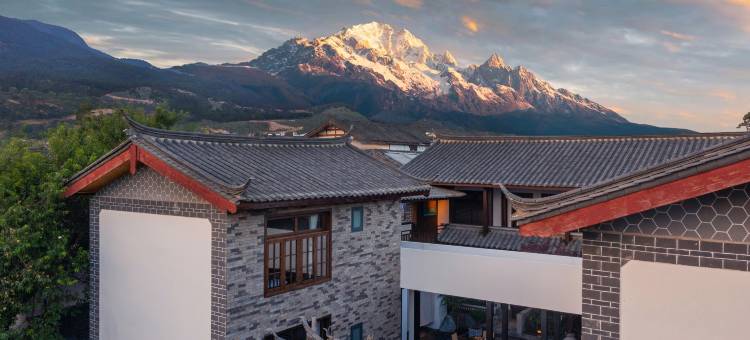 Dewild·栖野漫隅|侘寂风·咖啡·设计师美学庭院图片