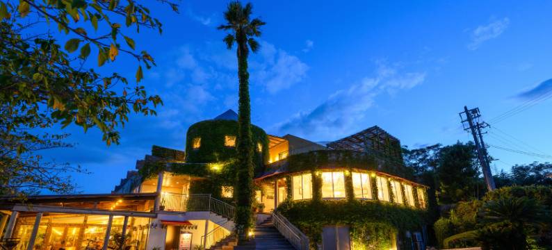 莫阿纳海岸度假村酒店(Resort Hotel Moana Coast)图片