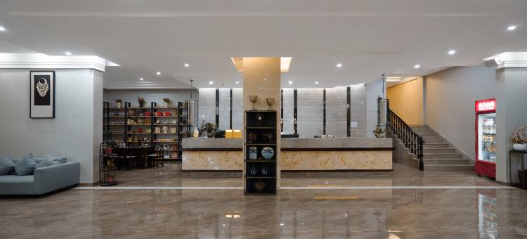 新平华豫酒店图片