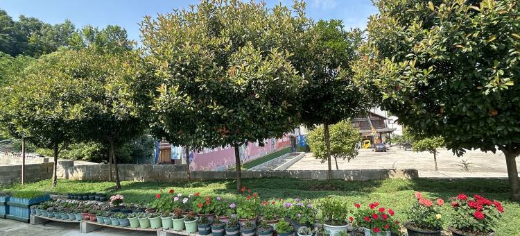 慈利安聚客栈图片