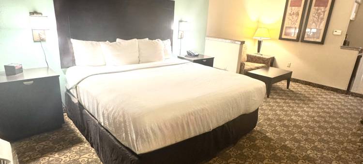 韦斯特彻斯-休斯顿能源走廊舒适套房酒店(Comfort Suites Westchase Houston Energy Corridor)图片