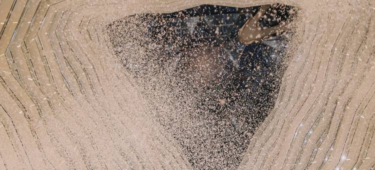 广州四季酒店图片