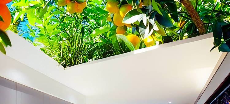 宜朵·美宿酒店(融安长安广场店)图片