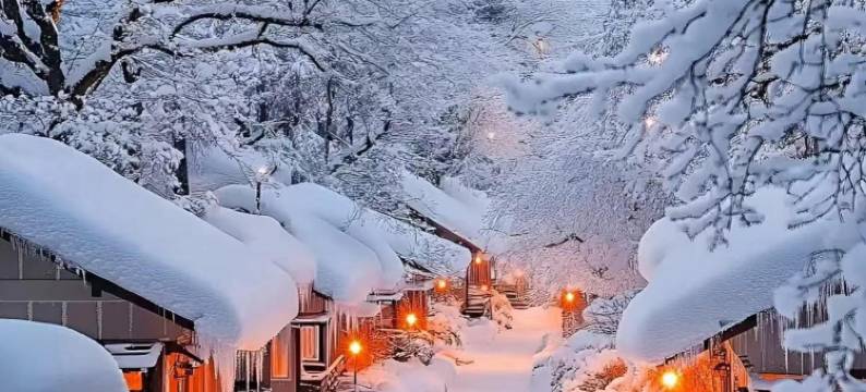 雪谷君宝来客栈(中国雪谷风景区店)图片