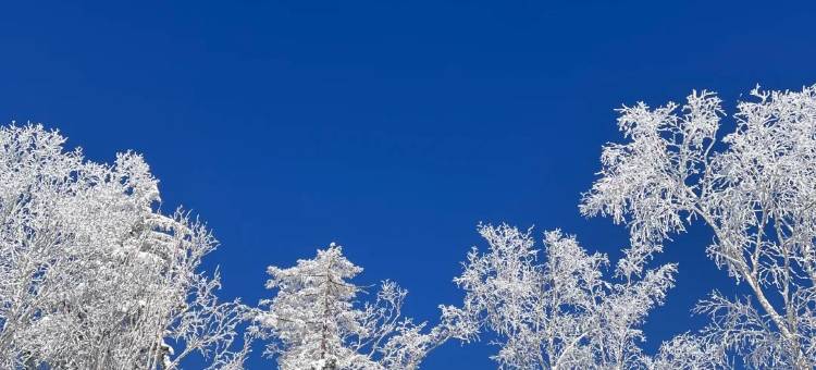 雪谷·董老三度假美宿(东升林场店)图片