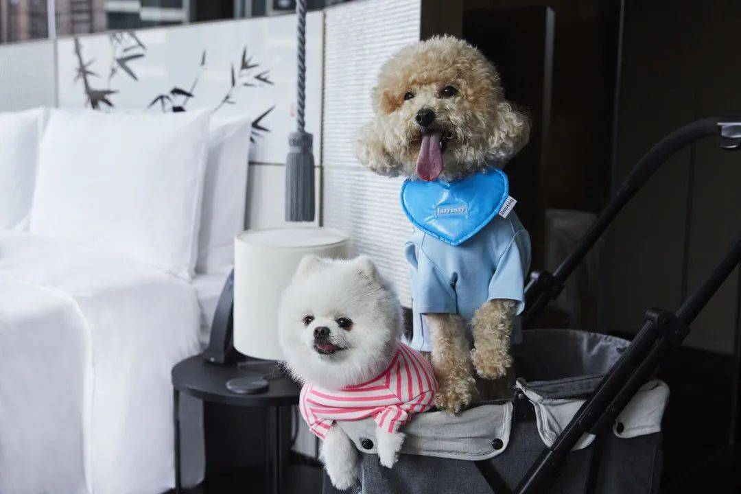 吉县壶口晋乡村客栈(黄河壶口风景区店)图片