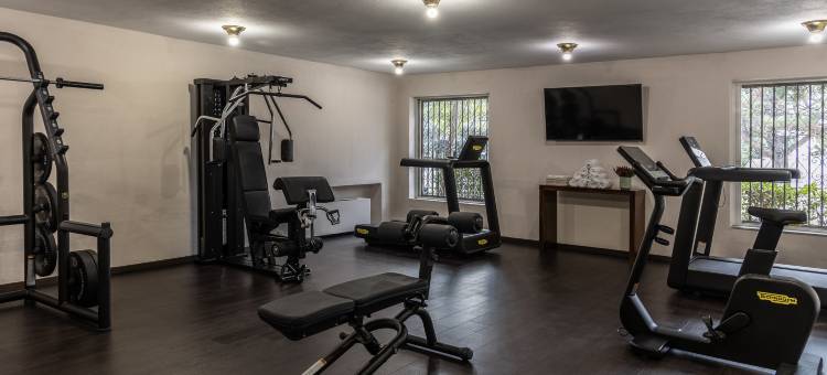 阿玛利亚梅黛奥拉酒店(Amalia Hotel Meteora)图片