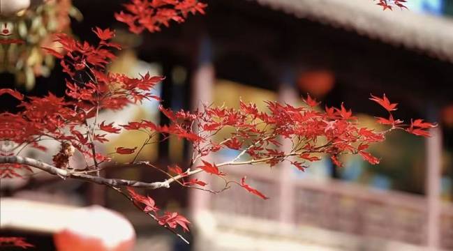 扬州东高铁站精英酒店(涵碧园店)图片