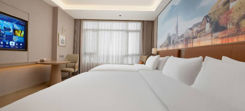 维也纳酒店(定远远瑞广场店)图片