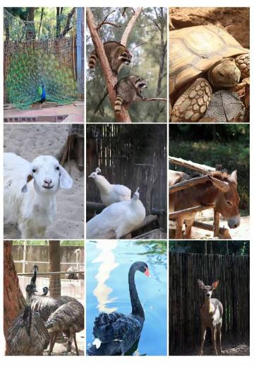 听海轻宿·Coastal Echo·海景度假民宿(漳浦六鳌翡翠湾店)图片