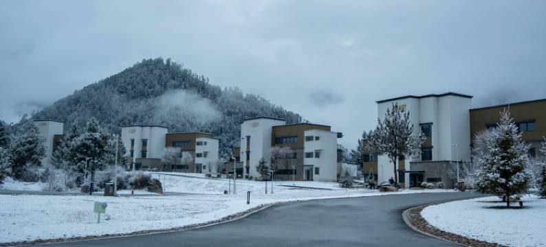 林芝藏南桃谷酒店图片