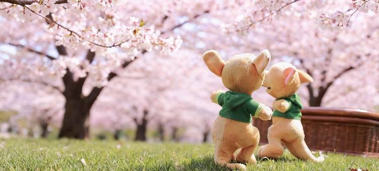 上海浦东嘉里大酒店图片